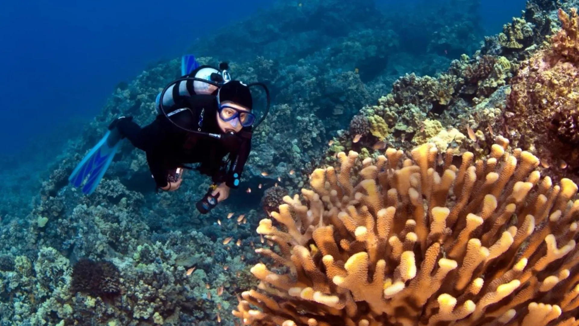 Mahana 705 Kahana